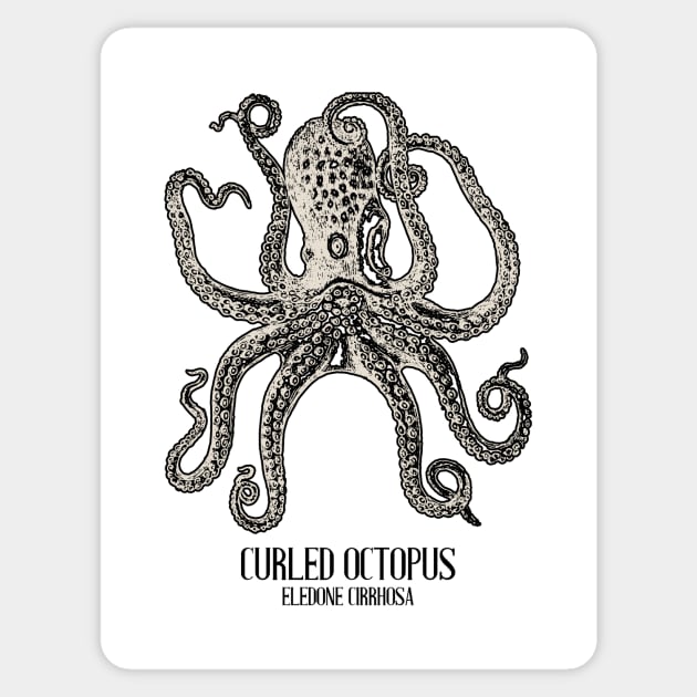 Vintage Octopus Ocean Animal Shirt Sticker by J0k3rx3